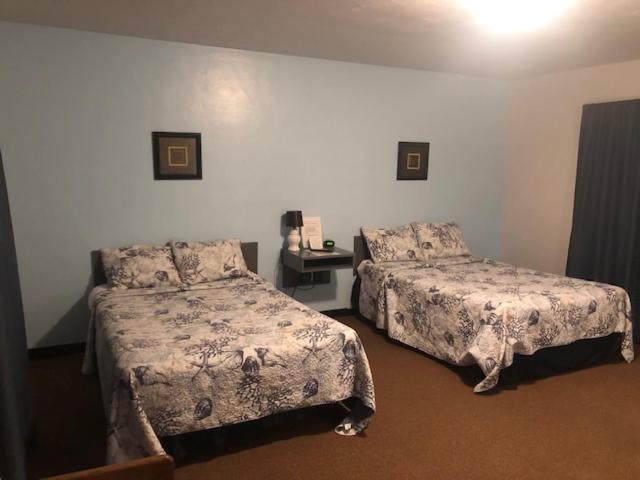 Cindy'S Motel & Rv Park Mayo Екстериор снимка